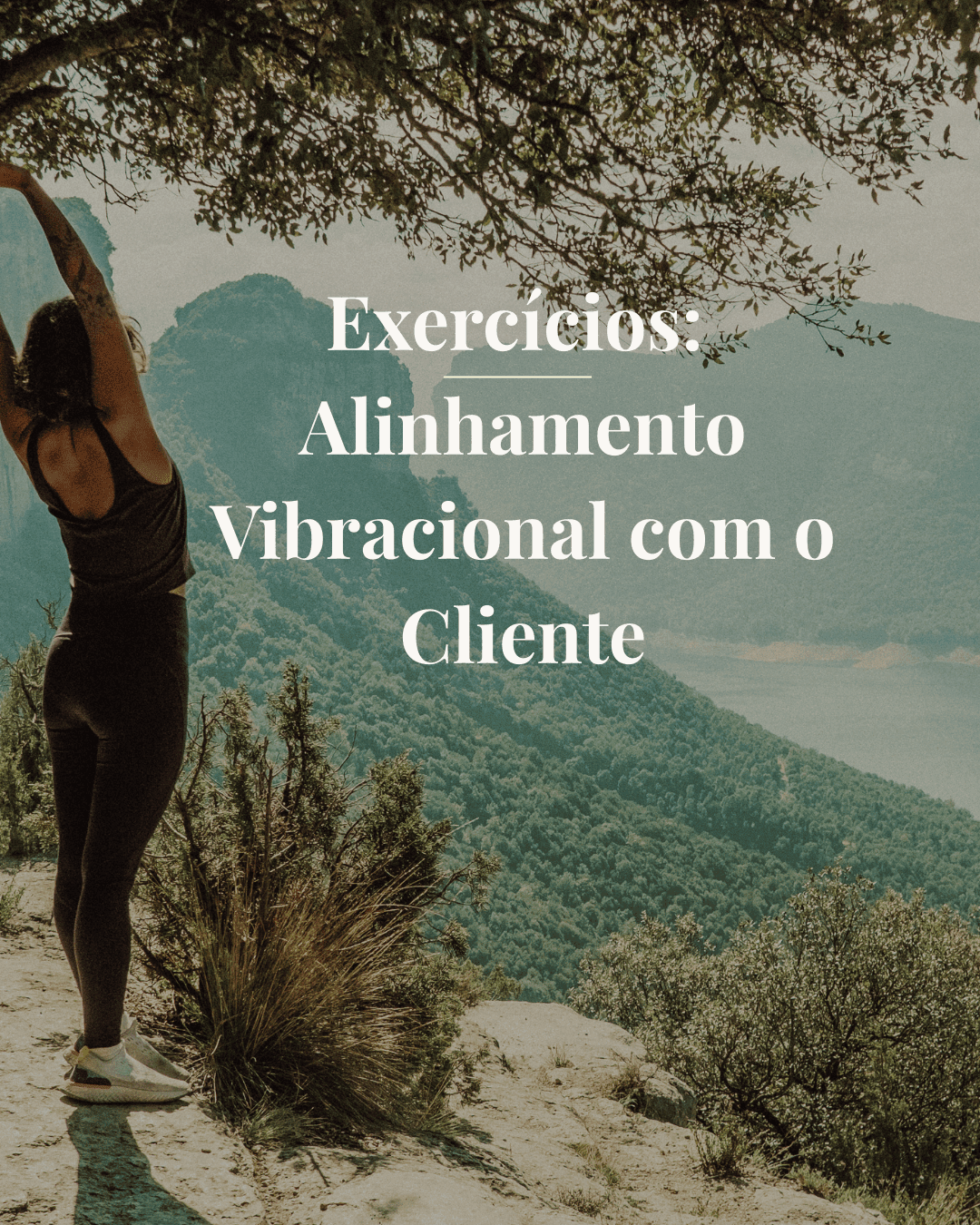 Imagem do post Alinhamento vibracional com o cliente